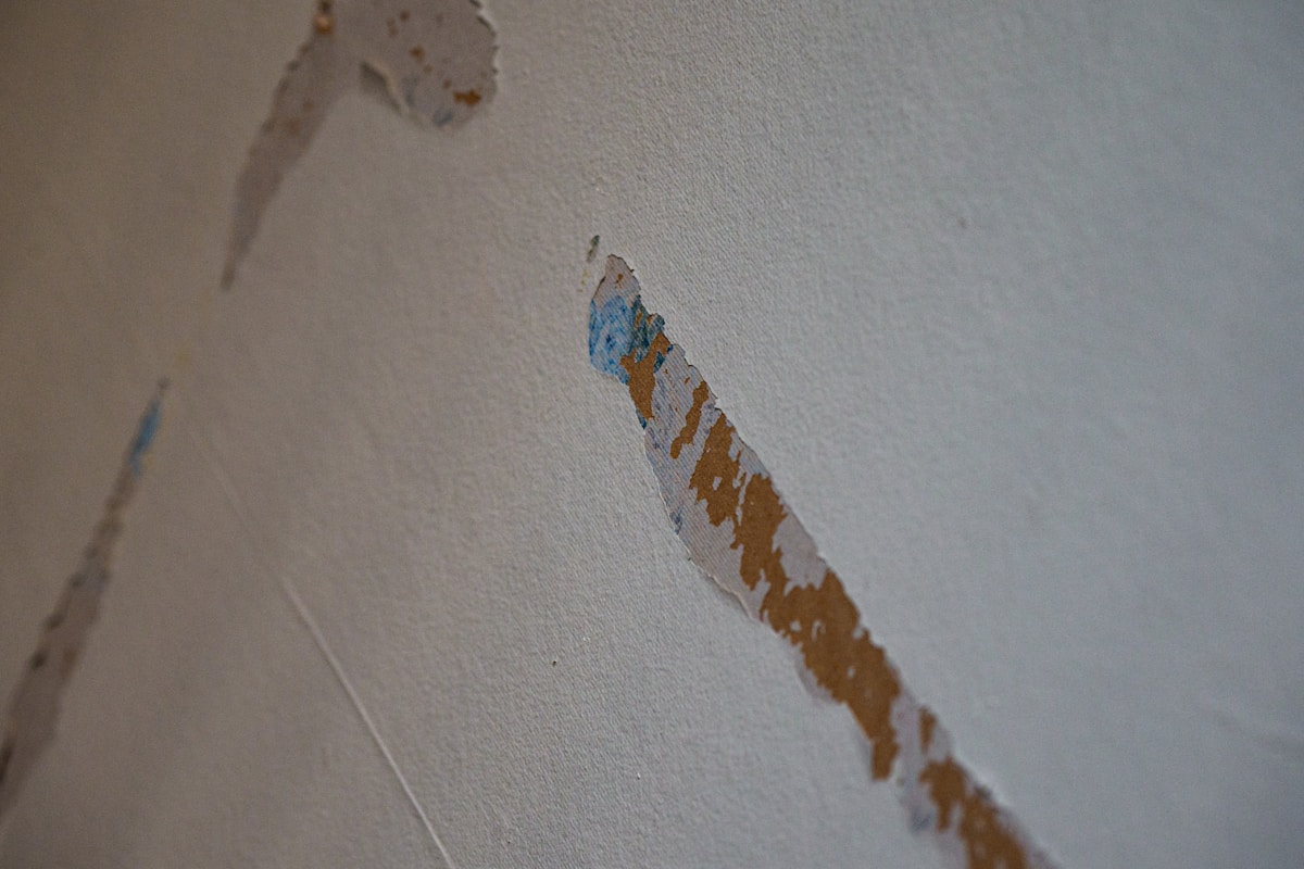 Sewage Cleanup service in Thornton, CO